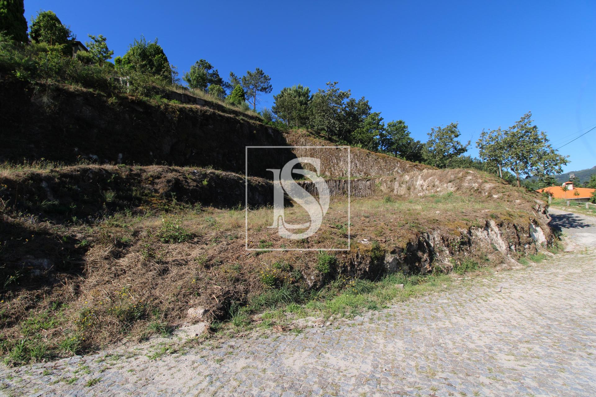 Terreno