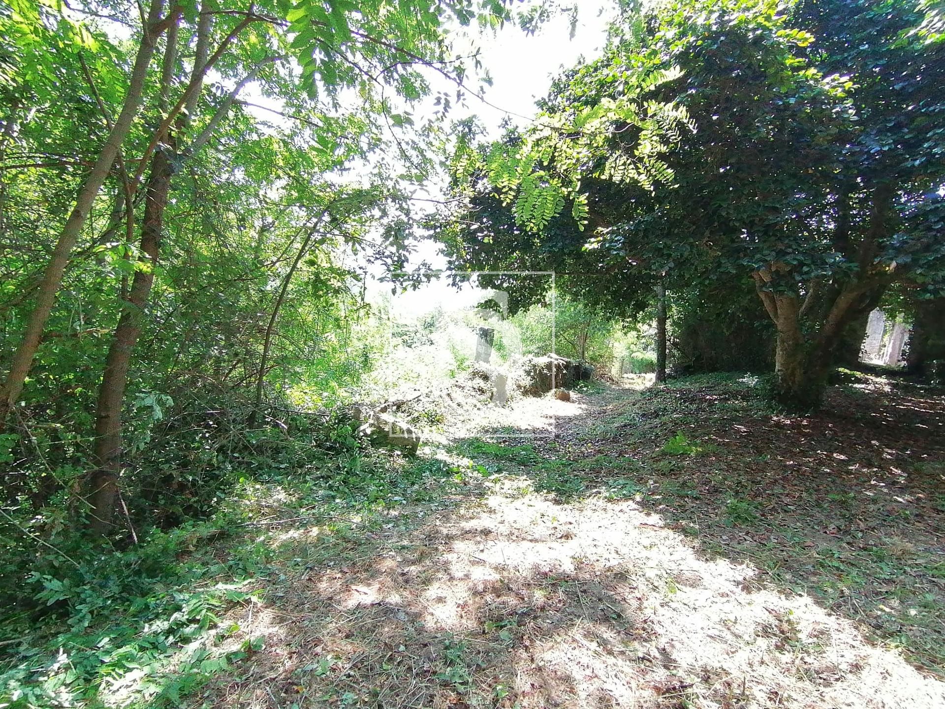 Quinta