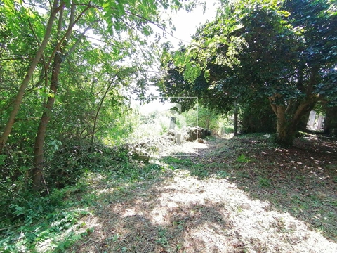 Quinta
