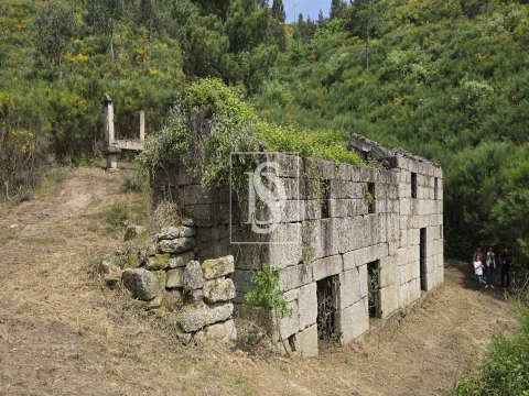 Quinta da Pinha em Bustelo - Amarante