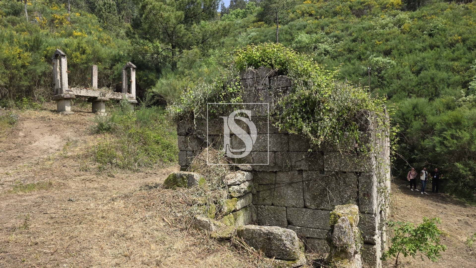 Quinta da Pinha em Bustelo - Amarante