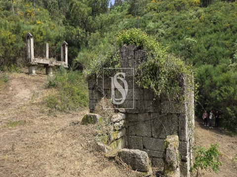 Quinta da Pinha em Bustelo - Amarante