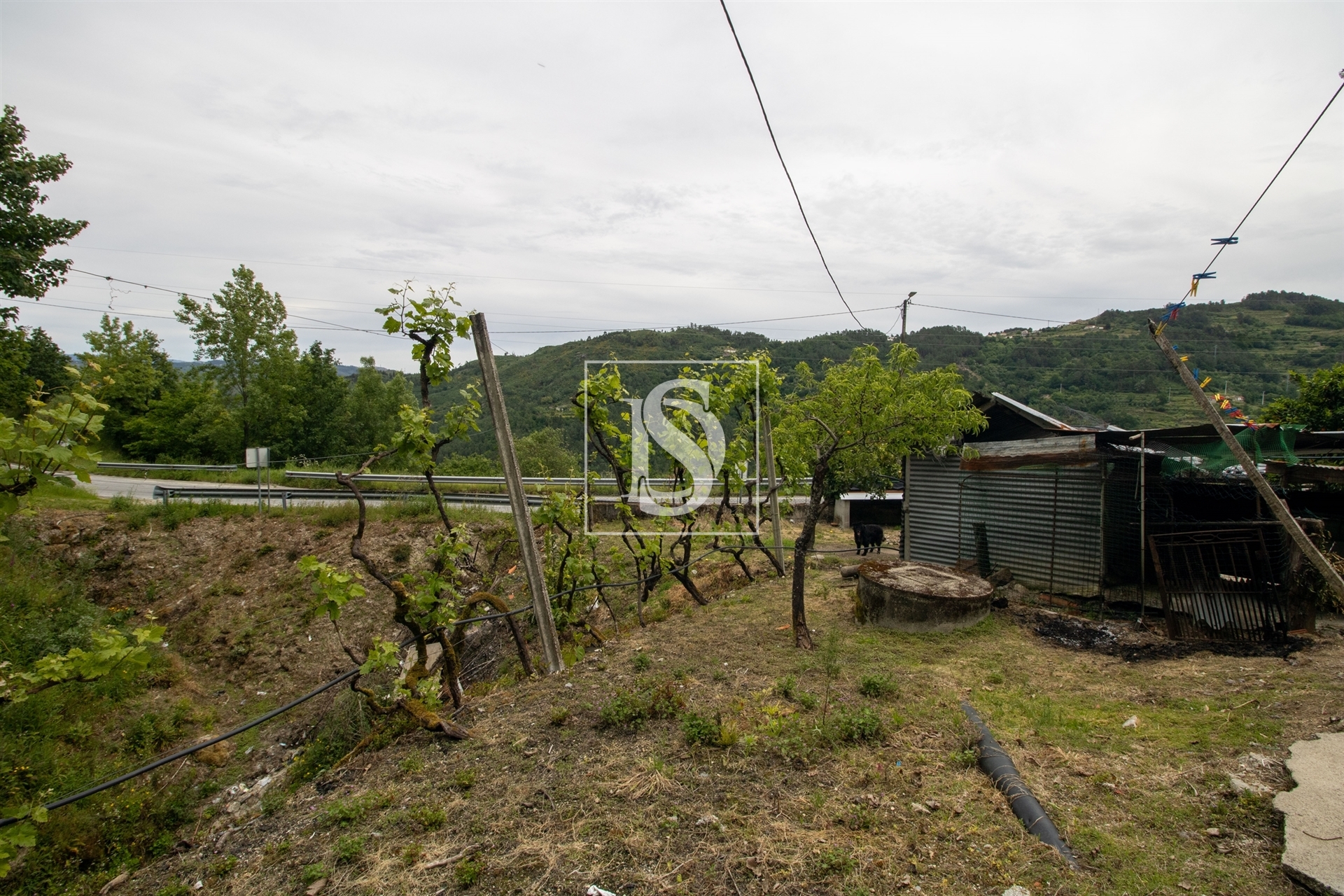 MORADIA T2 COM 5800M2  em Bustelo,  Amarante