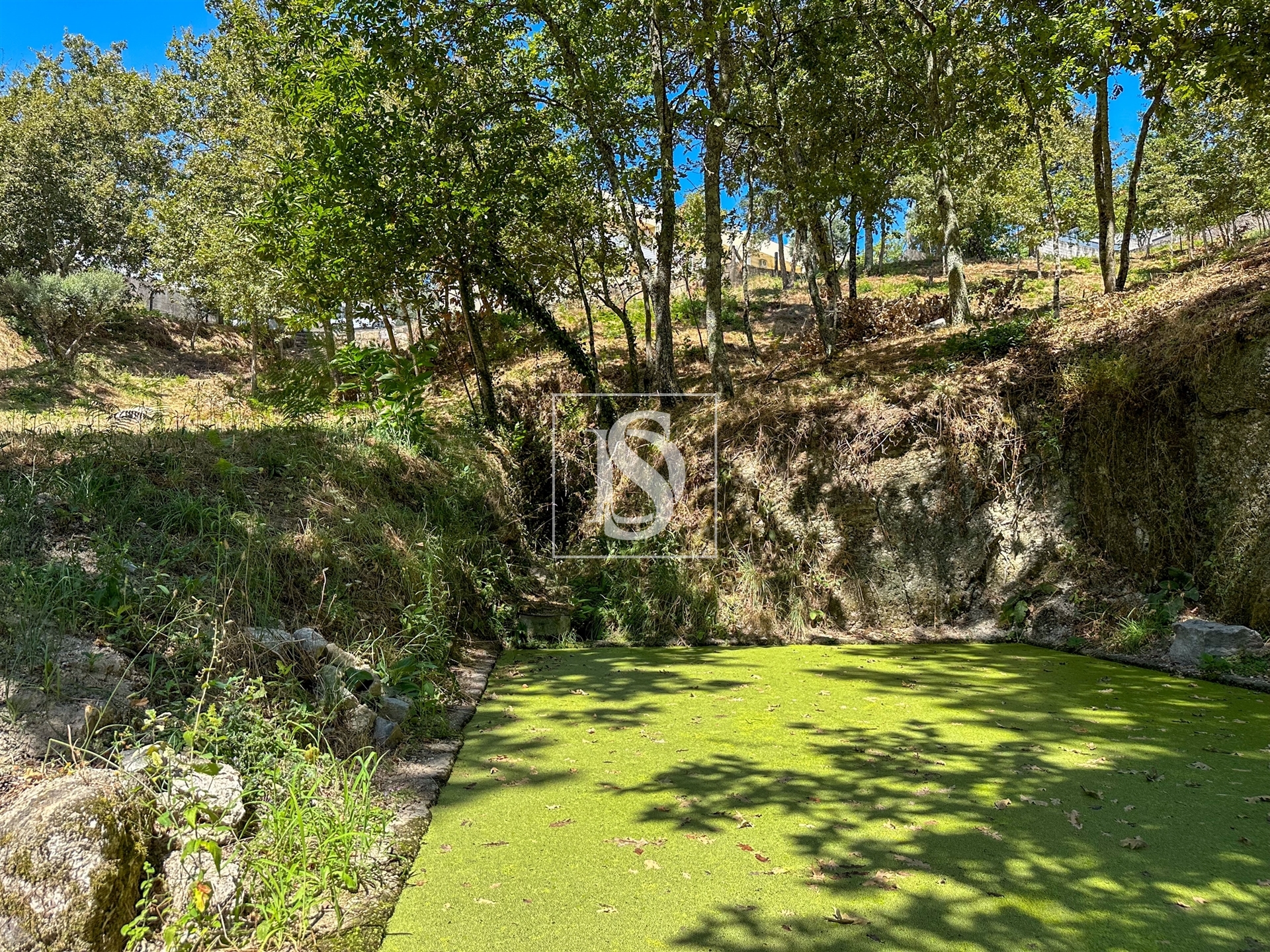 Terreno