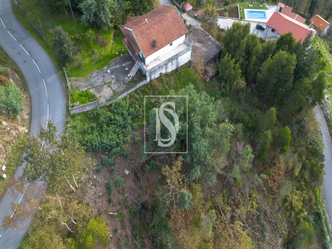 Terreno