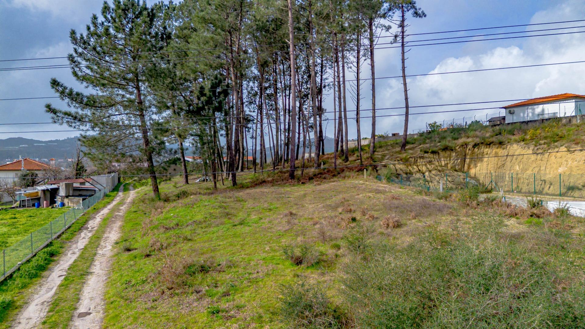 Real estate land Studio