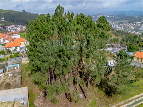 Real estate land Studio