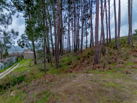 Real estate land Studio