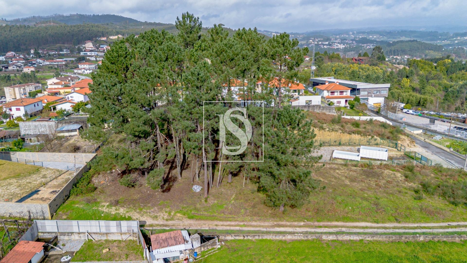Terreno