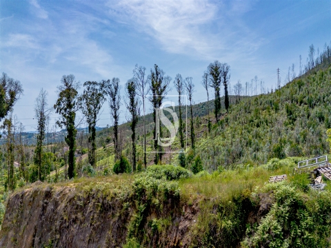 Lote Industrial